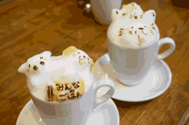 3Dラテアートってこんなにすごい! 優しさ×センス×技術が光る噂のお店に行ってきた!!
